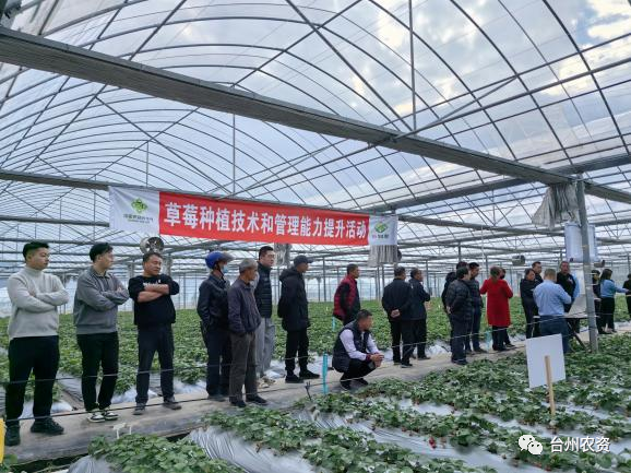 1675646687227595.png 640 (8).png